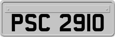 PSC2910