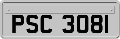 PSC3081
