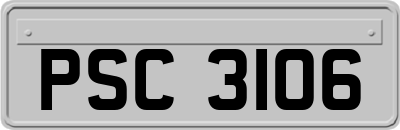 PSC3106