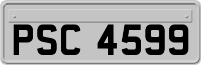 PSC4599