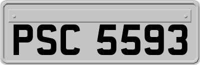 PSC5593
