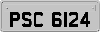 PSC6124