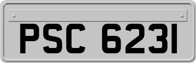 PSC6231