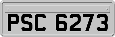 PSC6273