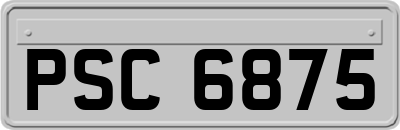 PSC6875