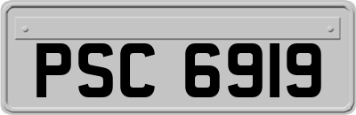PSC6919