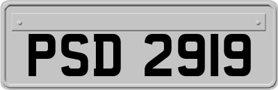 PSD2919