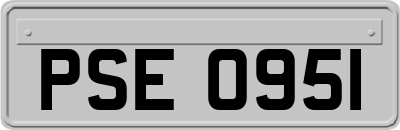 PSE0951