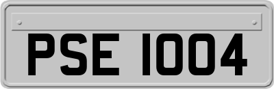 PSE1004