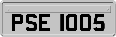 PSE1005