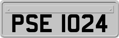 PSE1024