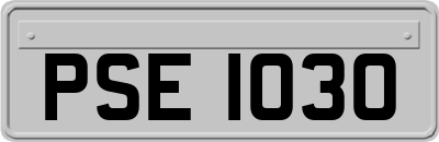 PSE1030