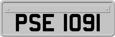PSE1091