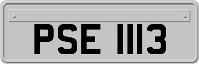 PSE1113