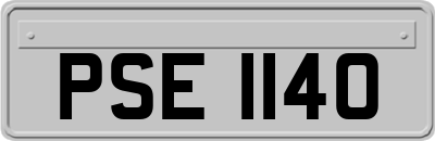 PSE1140
