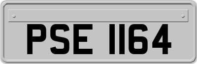 PSE1164