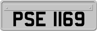 PSE1169
