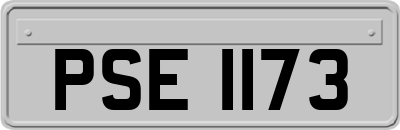 PSE1173