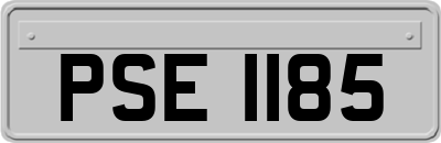 PSE1185