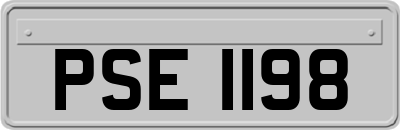PSE1198