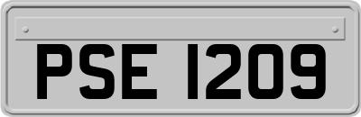 PSE1209