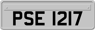 PSE1217