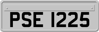 PSE1225