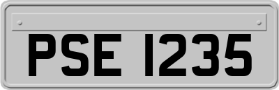 PSE1235