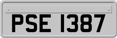 PSE1387