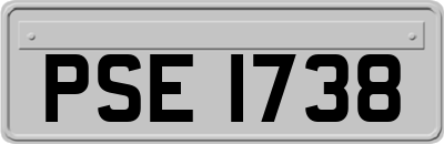 PSE1738