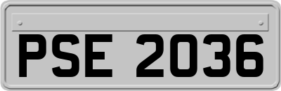 PSE2036