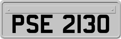 PSE2130