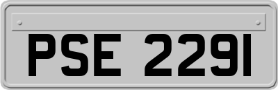 PSE2291