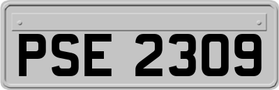 PSE2309