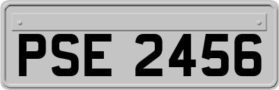 PSE2456