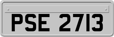 PSE2713