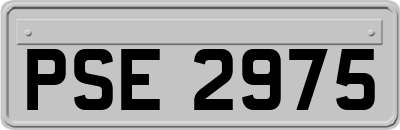 PSE2975