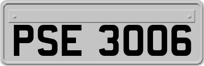 PSE3006