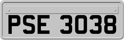 PSE3038