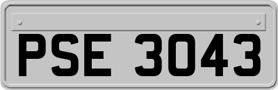 PSE3043