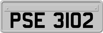PSE3102
