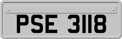 PSE3118