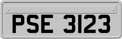 PSE3123
