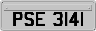 PSE3141