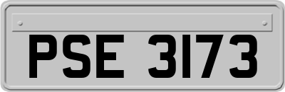 PSE3173