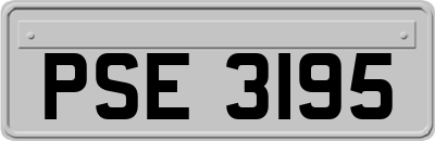 PSE3195