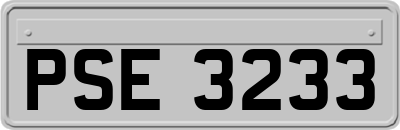 PSE3233