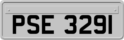 PSE3291