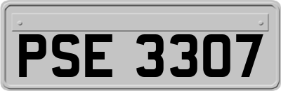 PSE3307
