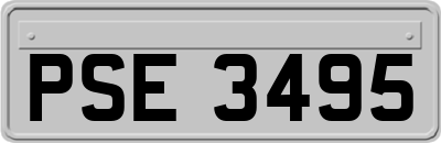 PSE3495